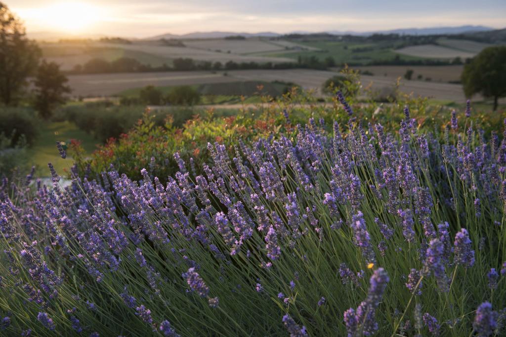 Farm stay Tenuta Dei Mori-wine Relais Events *